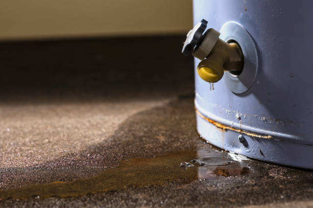 Best Local water damage restoration  in South Rockwood, MI