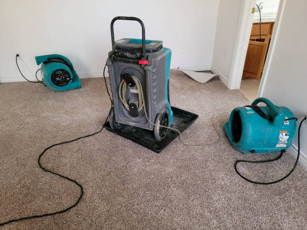 Best Water damage contractors near me  in South Rockwood, MI