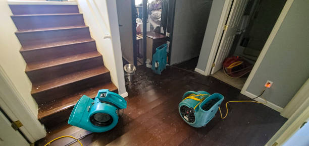 Sewage cleanup and water damage restoration in South Rockwood, MI
