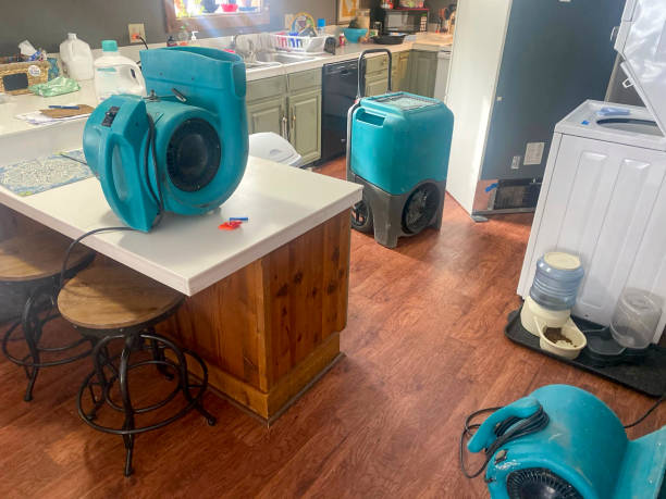 Best Water damage restoration process  in South Rockwood, MI
