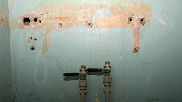 Best Sewage cleanup and water damage restoration  in South Rockwood, MI