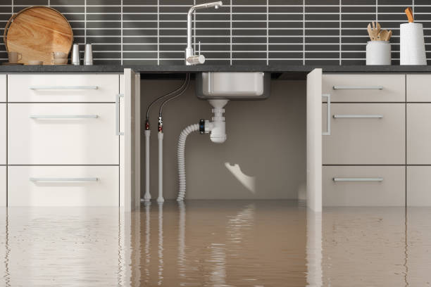 Best Emergency water damage restoration  in South Rockwood, MI